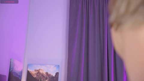 Media: Video of a bedroom with a pale lavender wall, a gray curtain, and a framed landscape painting featuring a mountainous scene. A blurred figure is partially visible in the foreground.