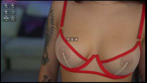 Media: Video of a woman's bare chest, wearing a sheer red bra, showcasing medium-sized breasts and tattoos on her left arm. Background is blurred, with a digital clock showing 23:00.