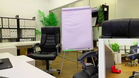 Video of a modern office with a whiteboard, black leather chairs, filing cabinets, green plants, and a red shoe on the floor.