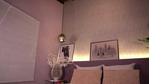 Video of a cozy bedroom corner with lavender walls, a white window blind, a textured beige throw pillow, a framed black-and-white photo, a silver spherical wall lamp, and a vase of dried flowers on a small table.
