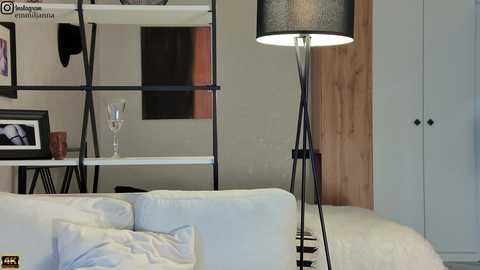 Video of a modern living room with a white couch, black metal floor lamp, white bookshelf, and a light gray wardrobe.