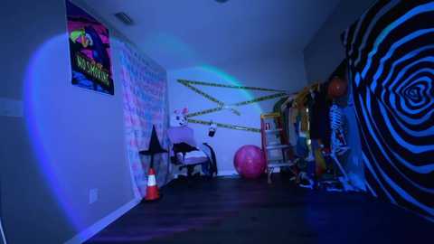 Video of a dark, trippy room with psychedelic decor: zebra-patterned wall, yellow caution tape, neon lights, posters, pink ball, orange cones, and a black cat statue.