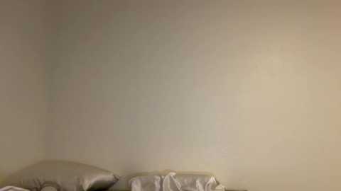 A video of a beige wall with a subtle greenish tint. In the foreground, a bed with two pillows and a neatly made bedspread. The setting appears minimalist, with soft lighting.