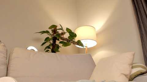 Video of a cozy living room corner with a beige sofa, white throw pillows, a potted green plant, and a warm-toned table lamp emitting soft light, creating a relaxing atmosphere.