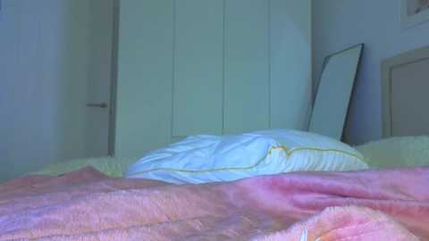 lili__roze_ free recording from 2025-11-08 10:37:00