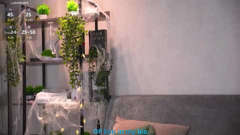 Media: A video of a minimalist living room with a gray couch, white walls, a green plant-filled shelf, and a TV screen displaying a virtual apartment tour.