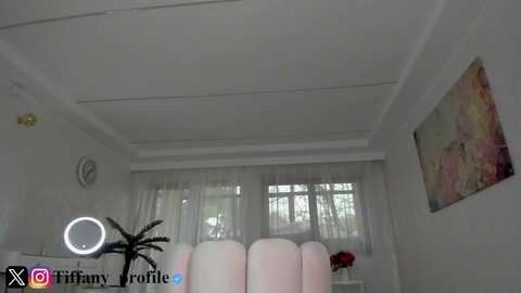 Video of a modern, white room with a white ceiling, a large window with sheer curtains, a palm plant, and a colorful abstract painting on the wall.