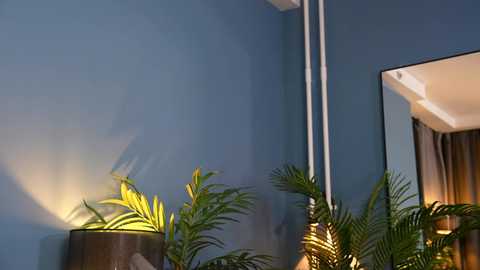 Media: Video of a modern room with a blue wall and a large mirror, featuring lush green plants and a lamp emitting a warm glow, creating a serene and stylish ambiance.