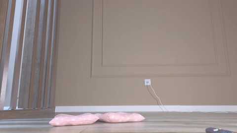 A video of a beige room with a power outlet and a pair of fluffy, pink slippers lying on the light-colored wooden floor.