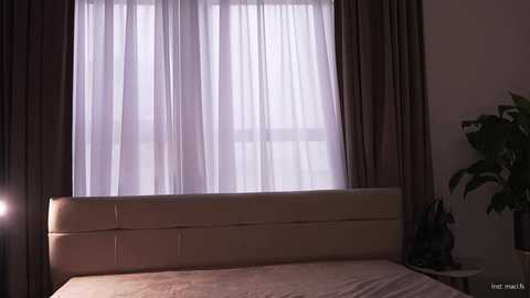 Media: Video of a modern bedroom featuring a large window with sheer white curtains, dark brown floor-length drapes, and a beige upholstered headboard. A green potted plant is on the right side.