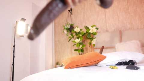 Media: Video of a cozy bedroom with a white bed, orange pillow, green plants, and a hanging macrame plant holder.