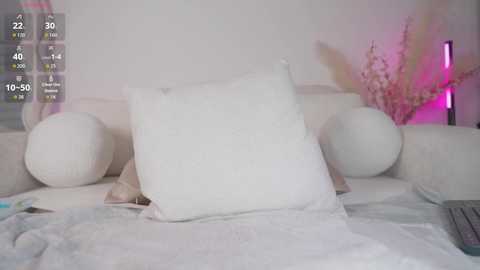 Video of a minimalist white sofa with two large white cushions, a pink floral arrangement, and a digital clock showing 22:30.