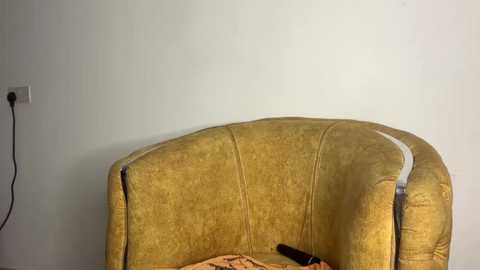 A video of a mustard-yellow, worn-out armchair with a torn cushion against a plain white wall, featuring a black hairbrush on the seat.