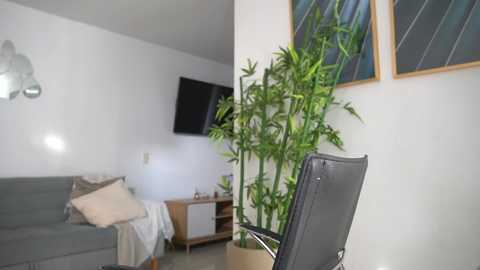 Video of a minimalist living room with a gray sofa, a flat-screen TV mounted on the wall, a bamboo plant, and two framed pictures on a white wall.