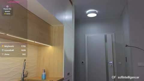 Media: Video of a modern, minimalist kitchen with light wood cabinets, a stainless steel sink, and a white door. Soft lighting highlights a clean, functional space.