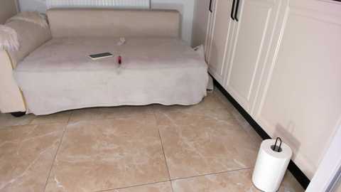 A video of a small, cluttered room with beige tiles, a white couch covered with a white sheet, and a white cabinet. A roll of toilet paper sits on the floor near the cabinet.