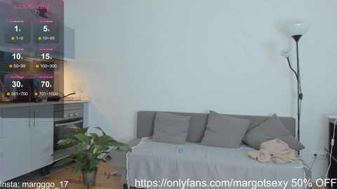 A modern living room photo with a TV showing weather forecasts, a gray sofa, and a floor lamp, URL: OnlyFans.com/marcelosx50OFF.