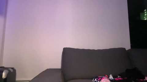 A video shows a dimly lit living room with a gray sectional sofa against a white wall. The sofa has colorful clothes scattered on it, including pink and black items. A black cat is curled up on the sofa's armrest.