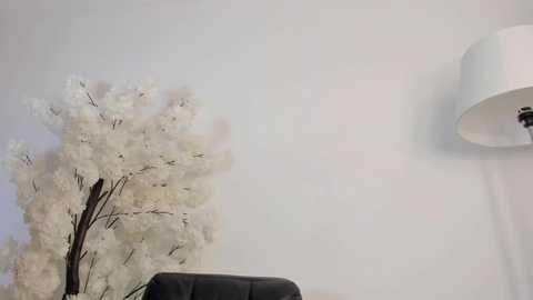 Video of a minimalist, modern room with a white wall, a black leather chair, and a white lampshade on the right. A white faux cherry blossom tree with brown branches and flowers is placed against the left wall.