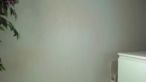 A video of a white wall with a faint, subtle light spot. A potted plant with green leaves hangs from the top left corner. A white, rectangular object, possibly a piece of furniture, is partially visible on the right. The image has a minimalist, clean aesthetic.