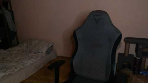 A dimly lit video of a gaming chair with a grey and black cushion in a cluttered, modest bedroom with a bed, cat litter box, and miscellaneous items scattered on the floor.