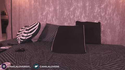 Media: Video of a modern bedroom with a zebra-patterned bedspread, black pillows, and a textured pink wall. A remote control and a camera logo are visible.