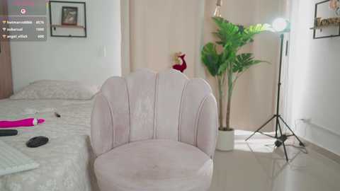 Video of a modern, minimalist bedroom with a light pink, velvet armchair, green potted plant, and beige curtains.