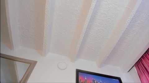Video of a ceiling with exposed, textured, beige wooden beams and white walls. A TV with a colorful, abstract painting hangs on the wall.