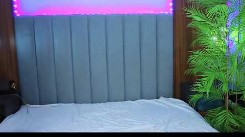 Video of a modern bedroom with a light gray, tufted headboard, a white bed, a green potted plant, and a colorful LED strip backlighting the headboard.