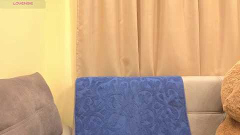 A video of a cozy living room corner featuring a blue, patterned blanket draped over a beige sofa, with a soft, brown, furry throw pillow and light yellow walls adorned with a green and pink \"LOVE\" sign.