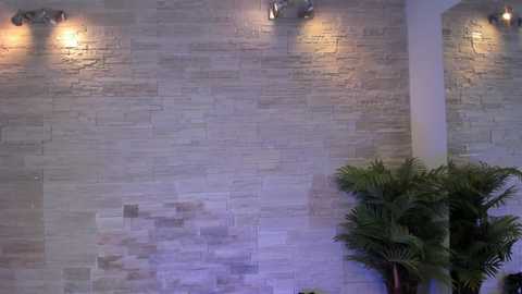 A video of a modern interior featuring a beige stone wall with horizontal textures, three recessed lights, and a lush green fern in the foreground.