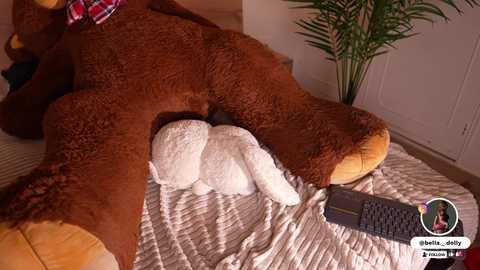 A video showing a large, plush brown teddy bear lying on a beige quilted bedspread, with a smaller, white rabbit plush toy nestled inside its body. The room features a white wardrobe and a potted plant in the background.