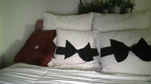 Video of a white bed with a white pillow and a red pillow featuring a black bow pillow, set against a plain wall background.