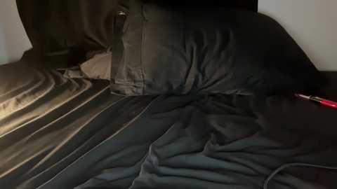 A video of a dark-haired woman sleeping on a bed with a black satin comforter, partially covered by a white sheet. The room is dimly lit, casting soft shadows.