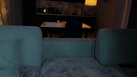 Video of a dimly-lit living room with a teal sofa, a desk, and a table with a lamp. The background shows a kitchen with cabinets and appliances.