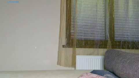 Media: A video shows a beige wall with a radiator and a window with beige curtains partially drawn, revealing wooden blinds. A gray couch with a pink blanket is partially visible.