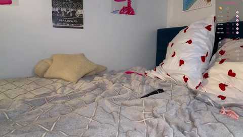 Video of a neatly made bed with a grey quilted duvet, a beige pillow, and a white pillow with red heart pattern. The background features a white wall adorned with a black-and-white poster and a pink lamp.