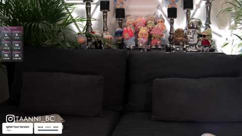 Video of a modern living room with a dark gray sectional sofa, adorned with plush toys and decorative items. The background features a colorful display of plush animals and Buddhist statues.