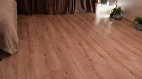 Video of a warm-toned, polished wooden floor with a soft texture, bordered by brown curtains and a white sofa on the left. A potted plant sits on the right, reflecting sunlight.