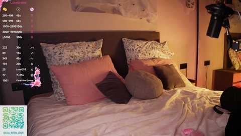 Media: Video of a cozy bedroom with a white bed, pink and gray pillows, and a dimly lit ambiance. A \"Lumix\" camera viewfinder overlay is present.