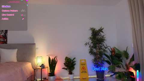 Video of a cozy bedroom with white walls, a bed, potted plants, a neon sign, and colorful string lights.