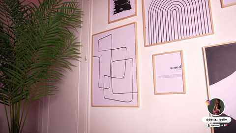 Video of a modern, minimalist room with white walls adorned with abstract black line drawings and geometric shapes, alongside a large green potted plant.