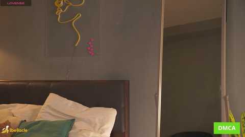 Media: Video of a bedroom with a dark brown leather headboard, a teal pillow, and a colorful abstract painting on the gray wall. A partially open closet door reveals a dark interior.