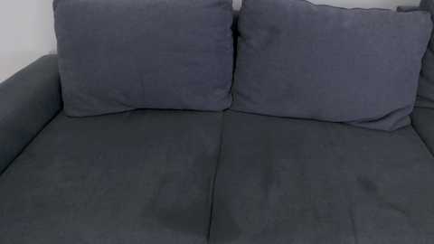 Video of a dark gray fabric sofa with two matching dark gray throw pillows. The sofa's texture is smooth, and the background is plain white, highlighting the sofa's clean, minimalist design.