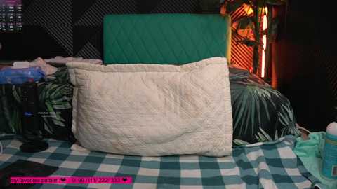 Video of a messy bedroom with a green quilted pillow, a teal pillow, a green bedspread, and a green and white checkered blanket on a bed. Background includes a plant, clutter, and dim lighting.