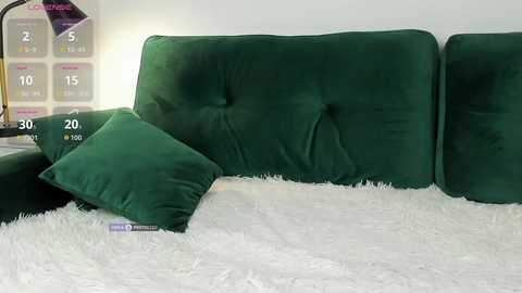 Video of a plush, green velvet sofa with a tufted headrest, adorned with a matching throw pillow and a fluffy white rug. Background includes a digital clock displaying 20:05 and a white wall.