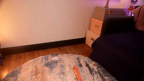 A video of a messy bedroom with a white wall, wooden floor, and a dark blue bedspread. A white rug with abstract patterns lies on the floor, holding a blue toy and a pink vibrator.
