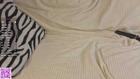 Video of a person lying on a textured, cream-colored blanket with a zebra-patterned pillow, partially covered by a black blanket. A black hairbrush rests on the blanket.