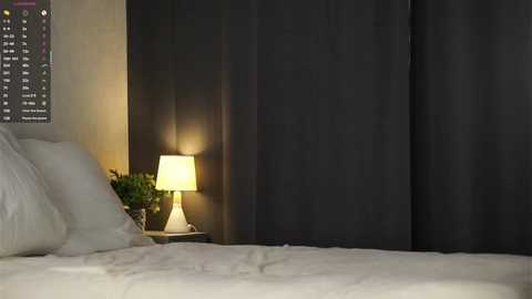 Video of a modern bedroom with a white bed, dark curtains, a small side table with a lamp, and a cityscape photo on the wall.