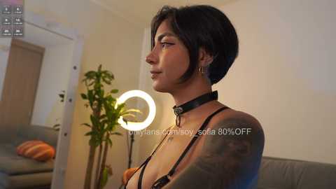 Video of a woman with short black hair, wearing a black leather collar and harness, in a modern living room with a green plant and a round light.